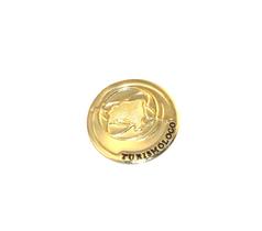 Broche Botton Medalha Turismólogo Turismo Folheado Ouro 18k