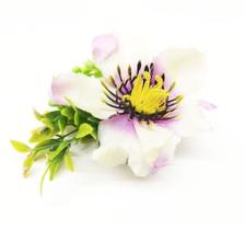 Broche e Presilha Flor Tecido e Plantinha