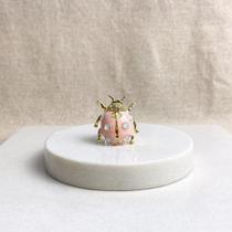 Broche Joaninha Esmaltada