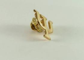 Broche Psicologia Folheado a Ouro 18k - Milena Joias