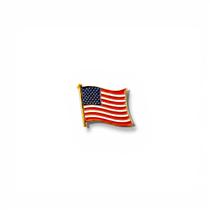 Broche USA Bandeira Oficial Estados Unidos Aço Banhado a Ouro