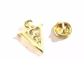 Broche Veterinária Super Lindo Folheado a Ouro 18k