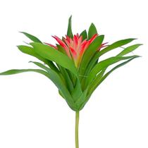 planta bromelia florida em Promoção no Magazine Luiza