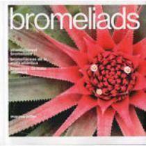 Bromeliads - bromelias da mata atlantica