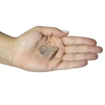 BRUTO QUARTZO VERMELHO - (10 a 35)g