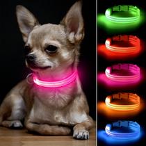 BSEEN LED Dog Glow Collar - USB Recarregável Brilho no Colarinho De Cachorro Escuro, Leve-se Coleiras de Animais de Estimação para Cães e Gatos Pequenos (Laranja, XS)