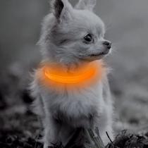 BSEEN LED Dog Glow Collar - USB Recarregável Brilho no Colarinho De Cachorro Escuro, Leve-se Coleiras de Animais de Estimação para Cães e Gatos Pequenos (Laranja, XS)