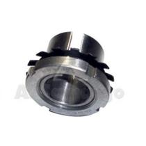 Bucha conica - (2) he-311 Bucha conica - (2) he-311