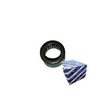 Bucha de Agulhas Bucha de Agulhas