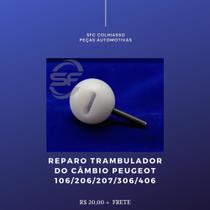 Bucha Inferior Alavanca Câmbio Peugeot 106/206/207/306/406