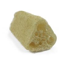 Bucha Vegetal Biodegradável Natura Bold Banho - Fibraforte