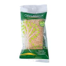 Bucha Vegetal Para Banho Orgânica Natural em Pedaço