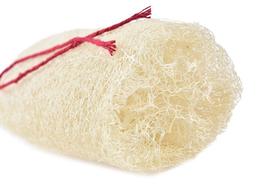 Bucha Vegetal Pedaço Isabral C/ Cordão - Código: 003-4 Bucha Vegetal Pedaço Isabral C/ Cordão - Código: 003-4