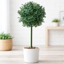 Buchinho Bucho Grama Decoração Jardim Planta Artificial 80cm Buchinho Bucho Grama Decoração Jardim Planta Artificial 80cm