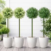 Buchos Buchinho Verde Jardim Planta Artificial 80cm Kit 4pçs