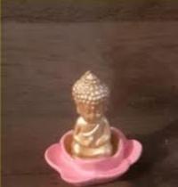 Buda indiano na flor de lotus (sidarta gautama)