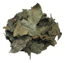 Bugre 250g (Erva Desidratada)