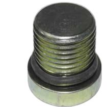 Bujao bloco motor iveco tector 150e21 170e21 170e22 4895080