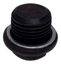 Bujão Carter Motor MWM F1000 F4000 F11000 F12000 F14000 F22000 - Rosca 21 mm