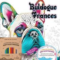 Buldogue Francês Buldogue Francês