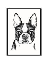 Buldogue francês - poster com moldura Buldogue francês - poster com moldura