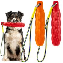 Bumper de treinamento para cães Blueweenly, brinquedo flutuante azul, 2 peças, 28 cm Bumper de treinamento para cães Blueweenly, brinquedo flutuante azul, 2 peças, 28 cm