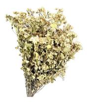 Buque Alecrim Do Campo Maço Folhagem Seca Desidratada Arranjo