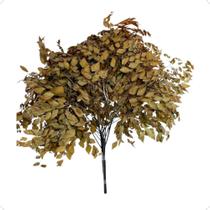 Buquê Avenca Cor Laranja Terracota Natural Decoração Arranjo Desidratado