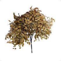 Buquê Avenca Cor Laranja Terracota Natural Decoração Arranjo Desidratado