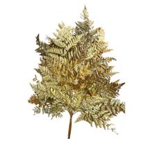 Buque Avencão Samambaia Jardim Vertical Desidratado Avenca G