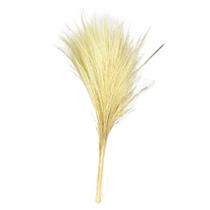 Buque Capim Cabelo Alvejado Liso Arranjo Decoração Arranjos Buque Capim Cabelo Alvejado Liso Arranjo Decoração Arranjos