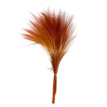 Buque Capim Cabelo Laranja Liso Arranjo Decoração Arranjos Buque Capim Cabelo Laranja Liso Arranjo Decoração Arranjos