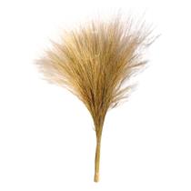 Buque Capim Cabelo Natural Liso Arranjo Decoração Arranjos Buque Capim Cabelo Natural Liso Arranjo Decoração Arranjos