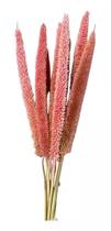 Buquê Capim Flor Mileto Rosa Secos Arranjo Noiva Pampas