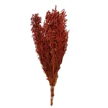 Buquê Capim Licopodium Cores Desidratado Arranjo Decoração