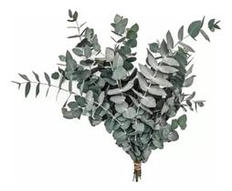 Buquê De Eucalipto Desidratado Natural Decoração Arranjo 50Cm Seco