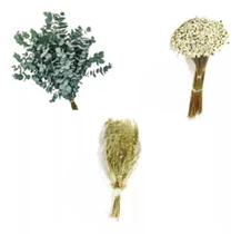 Buquê De Eucalipto + Sempre Vivas + Sementinha Desidratados