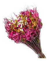 Buque de Flor Seca Estrelinha Presente Decoração