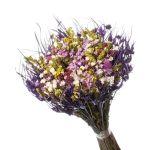 Buque De Flor Seca Estrelinha - Variações