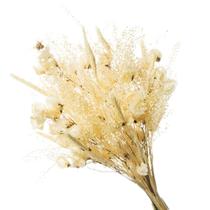 Buque de Flor Secas Desidratada Bougainville Natural