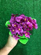 violeta flor em Promoção no Magazine Luiza