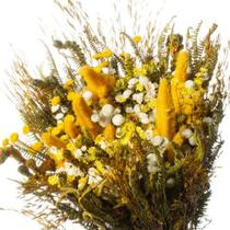 Buque de Flores Seca Rabo de Coelho Gato Amarelo Decorar