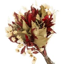 Buque de Flores Secas Carne de Vaca Vermelha Buque de Flores Secas Carne de Vaca Vermelha