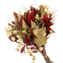 Buque de Flores Secas Carne de Vaca Vermelha Buque de Flores Secas Carne de Vaca Vermelha