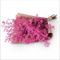 Buquê de Flores Secas Pink Dedo de Anjo - Giuliana Flores