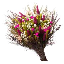 Buque de Flores Secas Rabo de Coelho Gato Pink Decorar Buque de Flores Secas Rabo de Coelho Gato Pink Decorar