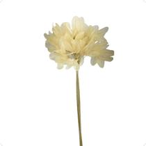 Buquê De Folha De Magnólia Esqueletizada Folhagem Natural Decoração Arranjo Desidratado