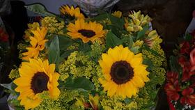 Buque de girassol com 6 unidades