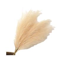 Buquê de Grama Pampas Artificial Grande (90/120cm) - Decoração para Casa e Jardim