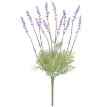 Buquê de Lavanda cor clara x12 43 cm Buquê de Lavanda cor clara x12 43 cm